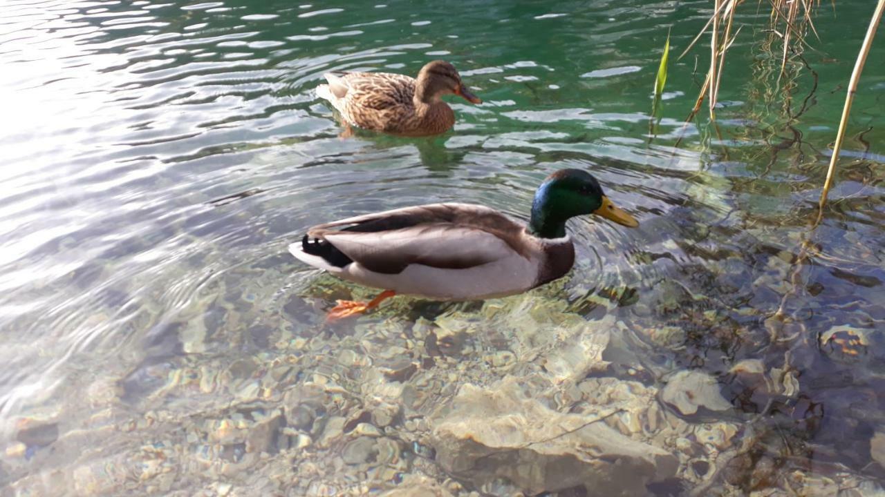 Vacation House Home, Plitvice Lakes National Park Plitvička Jezera Екстериор снимка